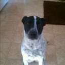 Jacob schott - @TPMSchott - Twitter