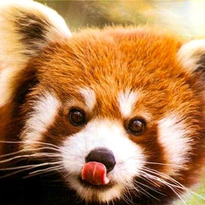 diguaqiu's profile picture. building