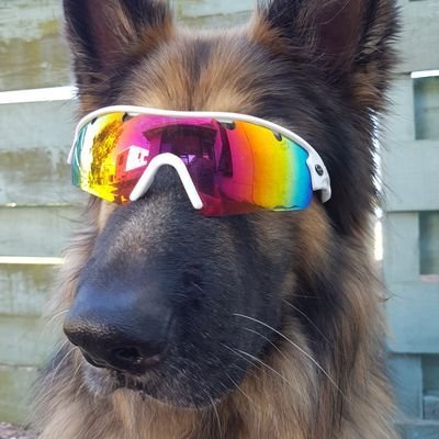 Loosing the daily struggle
😣, 🏉 fan, steam 🚂 nut, animal + ✈️ lover, ex forces & medical. Supports Forces/999. RIP@StarGsd 🌈