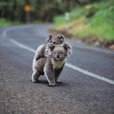 wilson_casique's profile picture. unico especial 100%