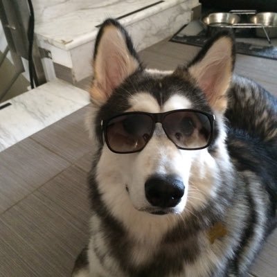 Paschalis1926's profile picture. 