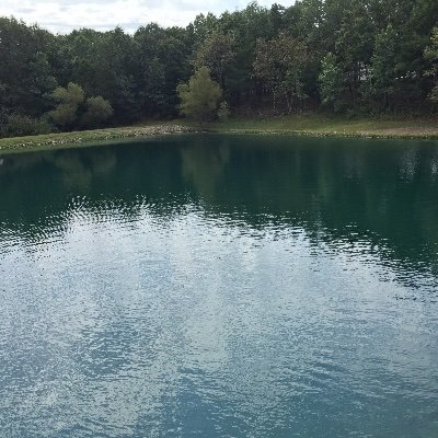 Maxutility1's profile picture. Love a good rabbit trail. Safety first, then teamwork. XRP the standard.