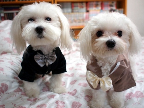 ban4937's profile picture. 나눔이 행복이고 비워야 채워집니다. 우리가 사는 세상이 사랑으로, 더불어 하나되는 세상을 이룰 수 있다고 믿고 열심히 세상 만물과 이웃을 섬기며 살기를 소원하는 영원한 꿈쟁이..