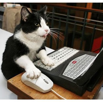 _anon593's profile picture. 🗣 #FreeAssangeNOW 📌 
Only God Can Judge Me 👐