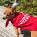 ~ Enzo ~ 🇨🇦🇮🇹🏳️‍🌈❤️💙🎥🎞📷🏍🐕 (@globalenzo) Twitter profile photo