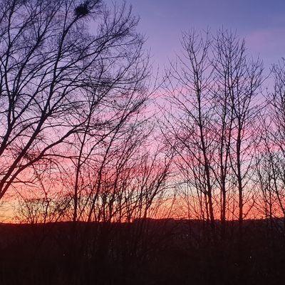 gudule82's profile picture. 