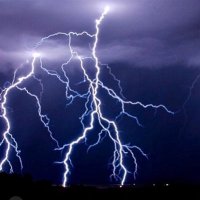 LRHSZeusWrestling (@lrhszeus) 's Twitter Profile Photo