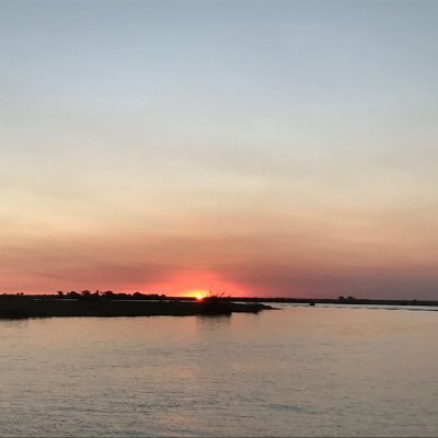 asonnenberg5's profile picture. Group leader Netherlands Cancer Inst. Prof. of Cell Adhesion in Health and Disease. Universiity of Leiden.