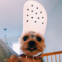 brunns (@eaibllx) 's Twitter Profile