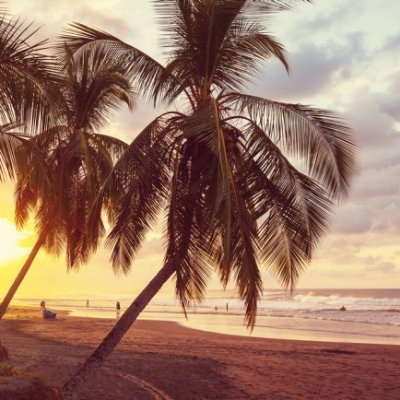 balmtrees's profile picture. 