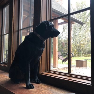 jackhay80166628's profile picture. 