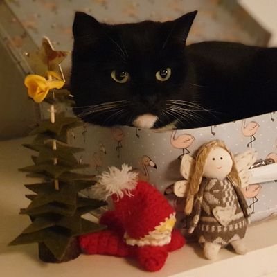 chrbell's profile picture. 0x777 0x520 TDJSGAAR3T2R7JSB