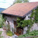 audrey semple - @genestegite - Twitter