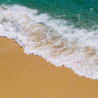 All Plastic Free (@allplasticfree) 's Twitter Profile