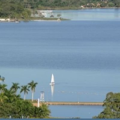 Imgard87's profile picture. 