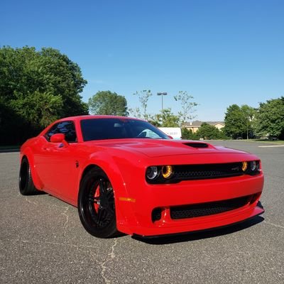 Torred707 Profile
