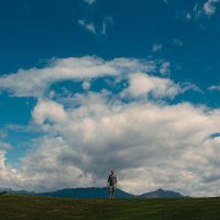 Tim Niven (@timothyniven2) 's Twitter Profile
