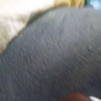 Hazy Haz (@hazyhaz3) 's Twitter Profile