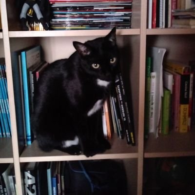 laurasaguarcard's profile picture. Me gusta la musica rock,los comics y el cine