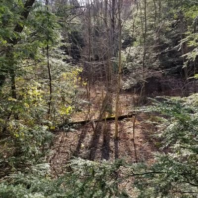 rschmidt1957's profile picture. ok