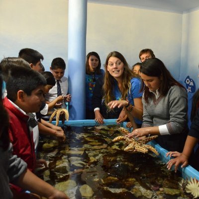 Education for ocean conservation | Oceanographer | STEAM 🔎🔬🚣‍♀️🏃‍♀️|
Community Engagement | @edoceanleaders 2020🌊🐟💙
Co-founder @relatoceano