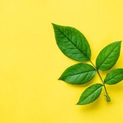 Davans_Jaksel's profile picture. ALL ABOUT DEVANO DANENDRA