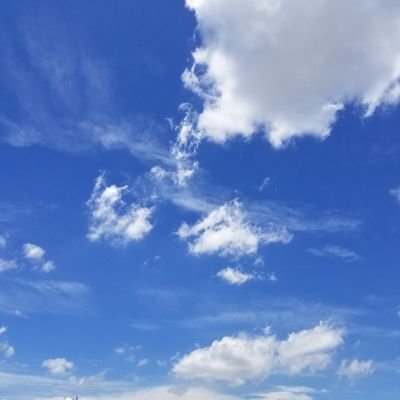 浜田省吾さんの虜になり40年。人生の苦楽の様々なシーンで省吾さんの曲に寄り添ってきました。たくさんの方々と省吾さんのこと、そして色んなアーティストのこと、大好きな高校野球の事など語り合えたら幸いです。