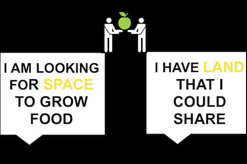 punkfoodnl's profile picture. I am a friendly foodpunk from Amsterdam 
i will posting on real organic and true food 
Just started using twitter foodpunk today 14jan 2011