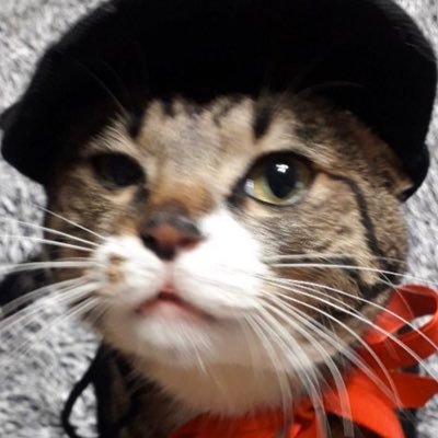 minjiIix's profile picture. 아름다운 하늘이다. ⭐️