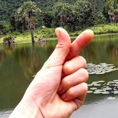 Nguyenl21581687's profile picture. vui vẻ hòa đồng