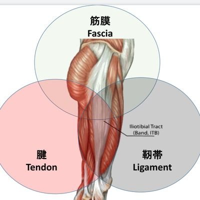 Athlete ST代表。JSPO-AT、Ph.D
陸上競技トレーナー、腸脛靭帯の研究、セミナー、広島市