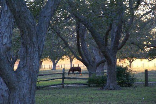 rbrocksilver's profile picture. 