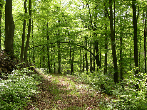 fabifabsen's profile picture. 1973