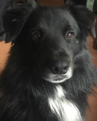 Mysteryman451's profile picture. Gamez and Audio nerd.