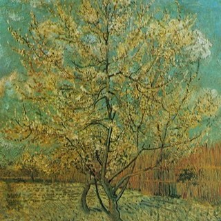 multiple2's profile picture. risk management focused on credit card, modeling, measure theory, probability, stochastic calculus, food