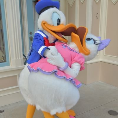 趣味は海外旅行とグッズ集め♡RTといいね多め♡donald&daisyメインの雑食♡海外→3月~WDW.12月アウラニ予定✈#るちあのHawaii旅 #るちあ旅 #R4_12月to1月るちあ旅 #るちあのFL生活 レポ遅めです♡アメリカ移住してRNになるのが夢♡ドナ89th