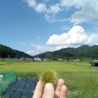 Treck (@treck_lago) 's Twitter Profile