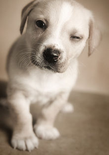 akao87's profile picture. 