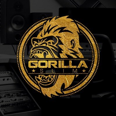GORILLA GANG MUSIC LLC ..#GS15. DROBOIZ FOR BOOKING EMAIL GORILLASLIMDBGG@gmail.com ARTIST PRODUCER ENGINEER ...WE RUN THINGS DOWNLOAD GS15 @spinrilla