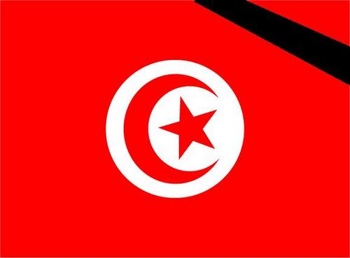 docpeace's profile picture. 