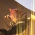 ãœããŠ@ç²â¿ FF14ãã³ãã© (@porte_xx) Twitter profile photo ãœããŠ@ç²â¿ FF14ãã³ãã© (@porte_xx) Twitter profile photo