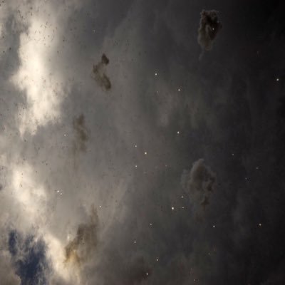 leobankbaby's profile picture. 