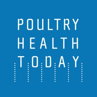 Bringing the poultry industry the latest ideas, insights and advice to improve bird health, welfare, performance and food safety.