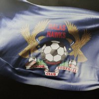 Halas Hawks Girls  & Wildcats football Centre(@GirlsHalasHawks) 's Twitter Profile Photo