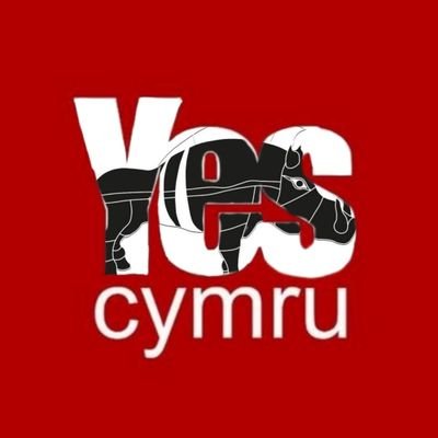 YesCymru Rhydaman Profile