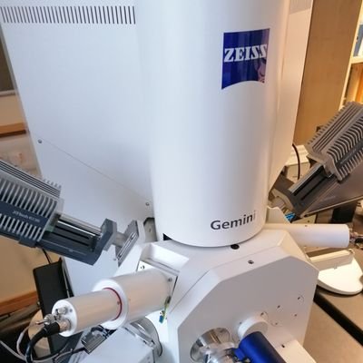@SEM_BGS Profile