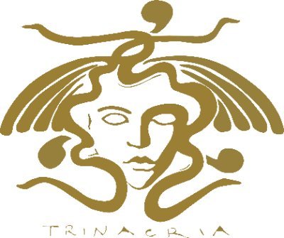 TrinacriaSalt's profile picture. TRINACRIA salt - flocons de truffe.  Truffle flakes to sparkle