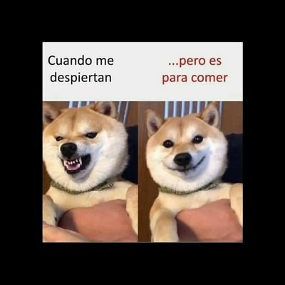 Brayan1613's profile picture. 