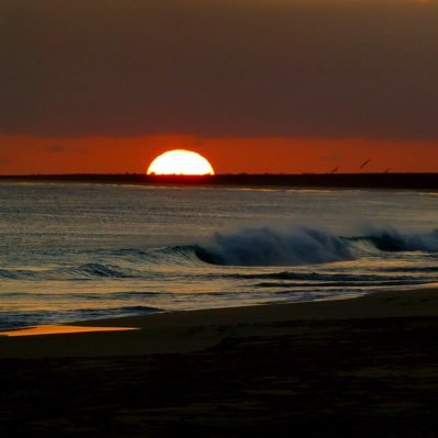 carpediem__1990's profile picture. 