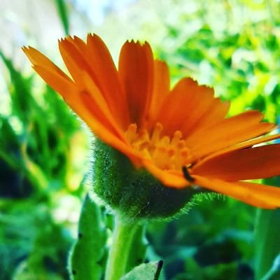 med_yazid_mer's profile picture. 